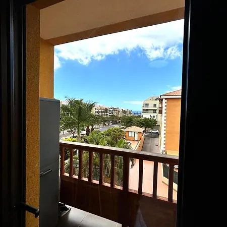 Ojos Del Oceano Palm-mar